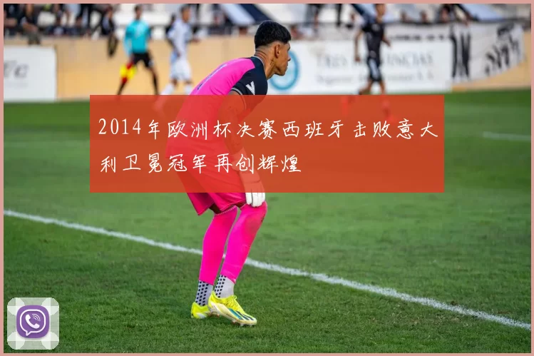 2014年欧洲杯决赛西班牙击败意大利卫冕冠军再创辉煌