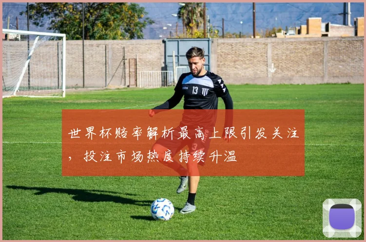 世界杯赔率解析最高上限引发关注,投注市场热度持续升温