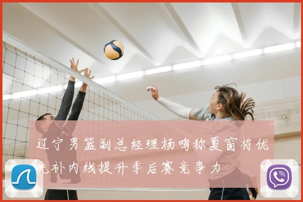 辽宁男篮副总经理杨鸣称夏窗将优先补内线提升季后赛竞争力