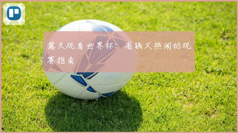 露天观看世界杯:省钱又热闹的观赛指南