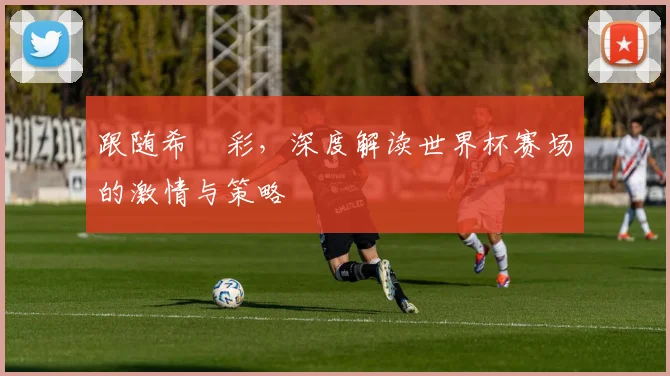 跟随希咲彩,深度解读世界杯赛场的激情与策略