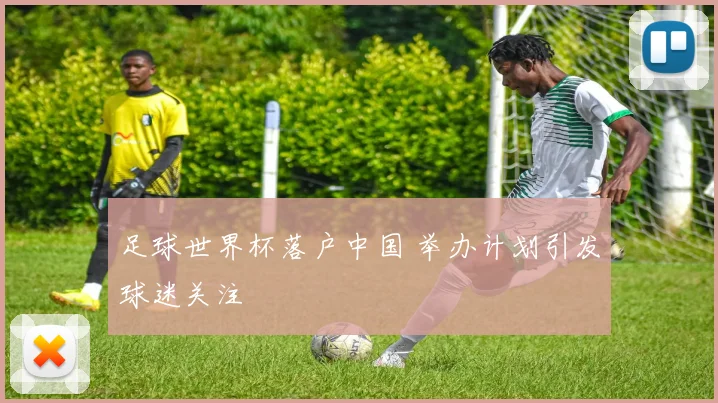 足球世界杯落户中国 举办计划引发球迷关注