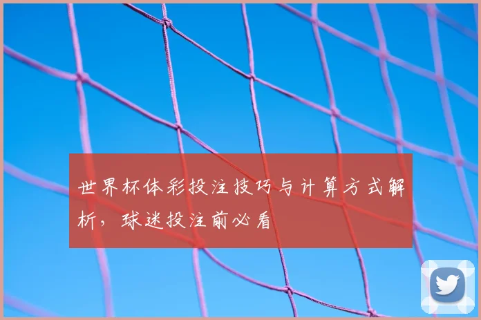 世界杯体彩投注技巧与计算方式解析,球迷投注前必看