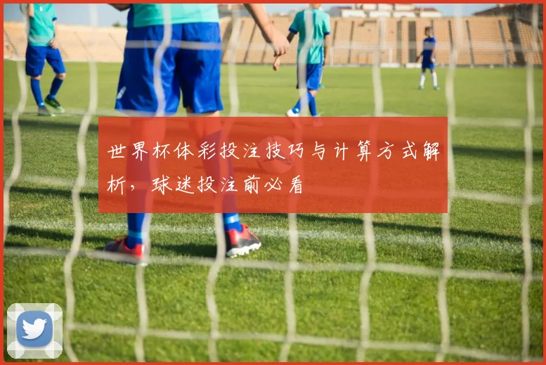 世界杯体彩投注技巧与计算方式解析，球迷投注前必看