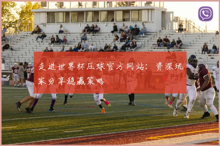 走进世界杯压球官方网站：资深玩家分享稳赢策略