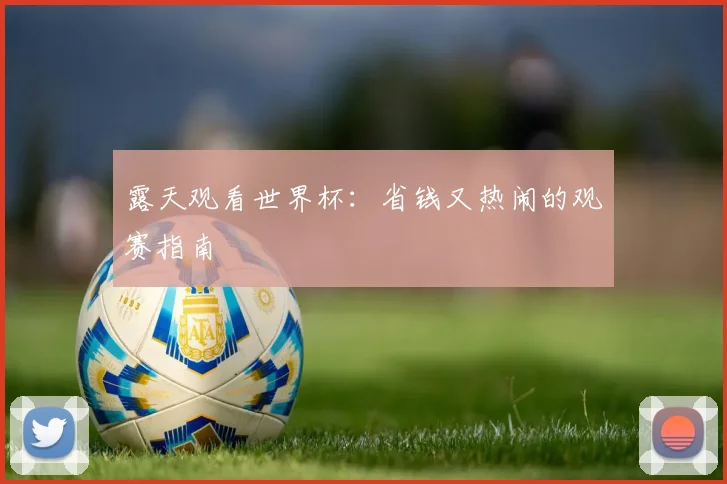 露天观看世界杯:省钱又热闹的观赛指南