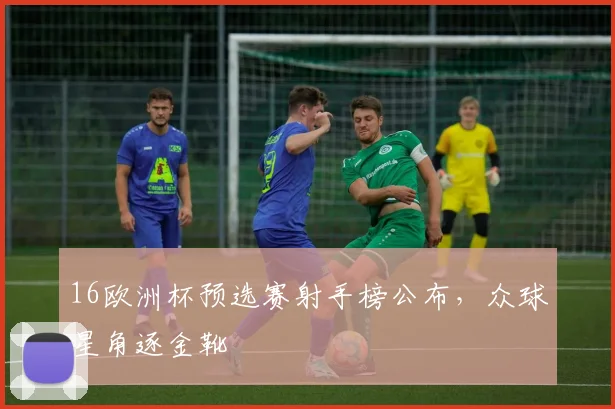 16欧洲杯预选赛射手榜公布,众球星角逐金靴