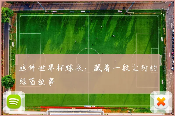 这件世界杯球衣,藏着一段尘封的绿茵故事