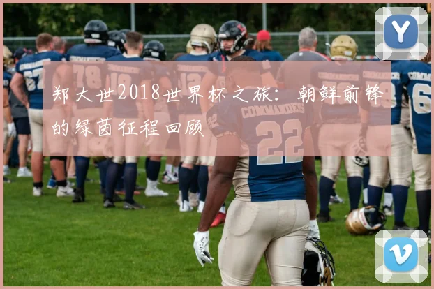 郑大世2018世界杯之旅:朝鲜前锋的绿茵征程回顾