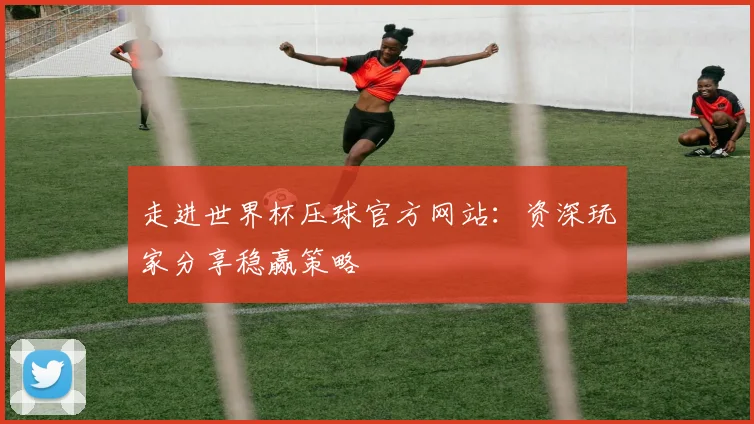 走进世界杯压球官方网站：资深玩家分享稳赢策略