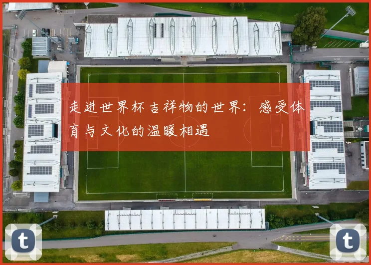 走进世界杯吉祥物的世界:感受体育与文化的温暖相遇