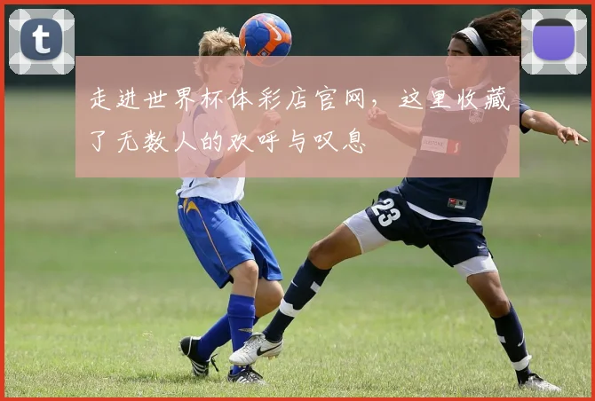 走进世界杯体彩店官网，这里收藏了无数人的欢呼与叹息