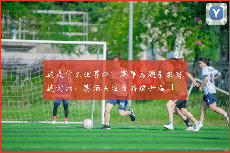 这是什么世界杯:赛事话题引发球迷讨论,赛场关注度持续升温_1