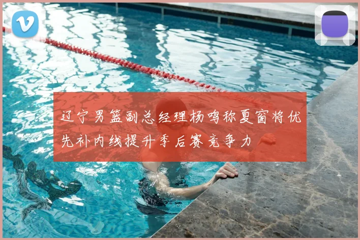 辽宁男篮副总经理杨鸣称夏窗将优先补内线提升季后赛竞争力