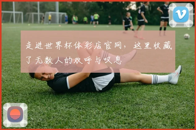 走进世界杯体彩店官网,这里收藏了无数人的欢呼与叹息