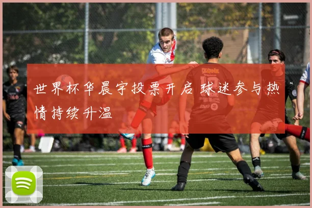 世界杯华晨宇投票开启 球迷参与热情持续升温