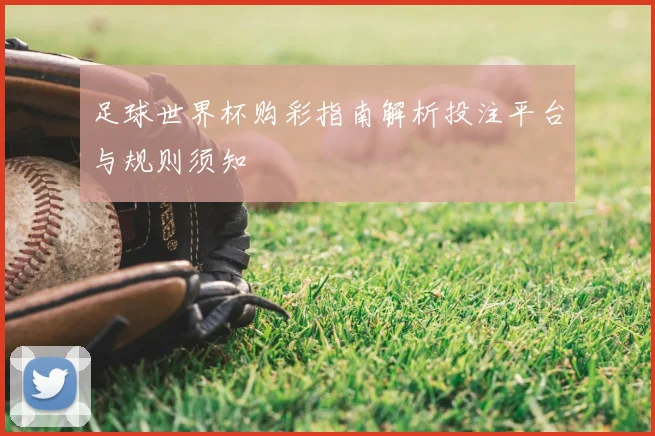 足球世界杯购彩指南解析投注平台与规则须知