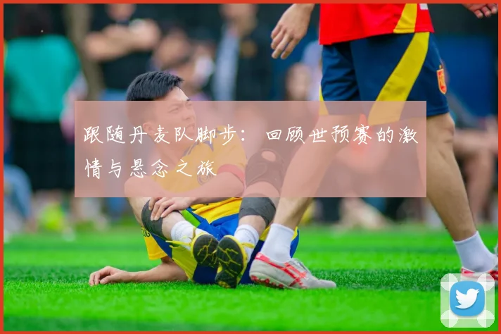 跟随丹麦队脚步:回顾世预赛的激情与悬念之旅