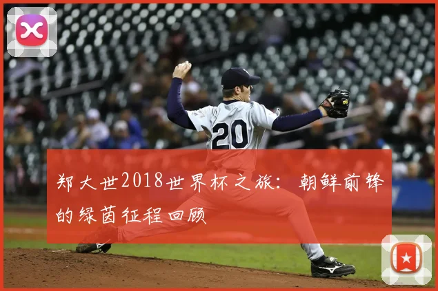 郑大世2018世界杯之旅：朝鲜前锋的绿茵征程回顾