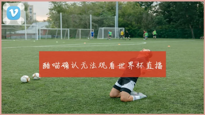 酷喵确认无法观看世界杯直播