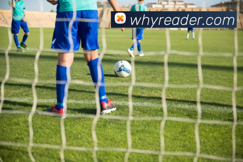 必一体育sport官网发展历程