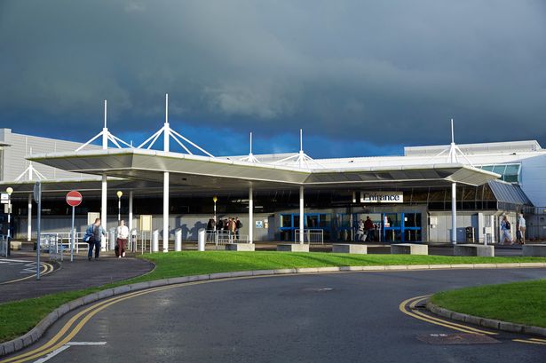 Reunion at Northern Ireland Airports for Christmas: Santa, Grinch, and Pets Join in the Festivities