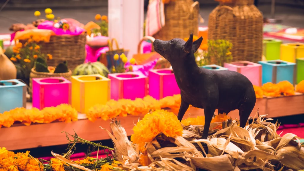 Pets Honored During Mexico's Day of the Dead Celebrations