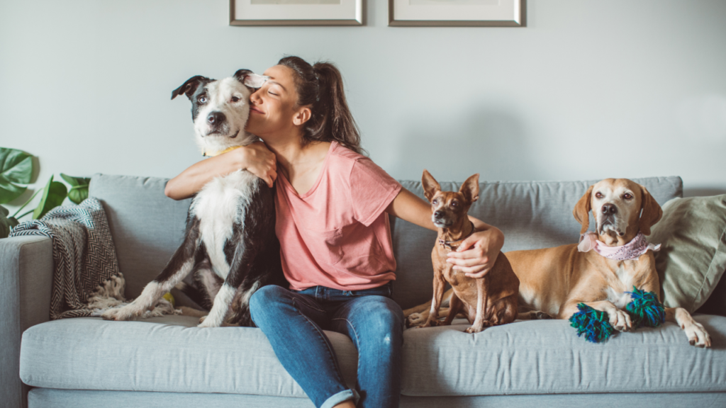 Caring for Your Pet While Working from Home During the Coronavirus Outbreak