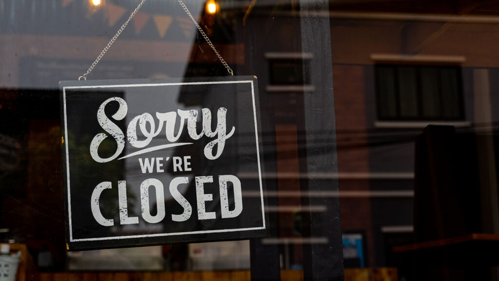 New York’s New Law Banning Retail Sales of Dogs, Cats, and Rabbits Takes Effect