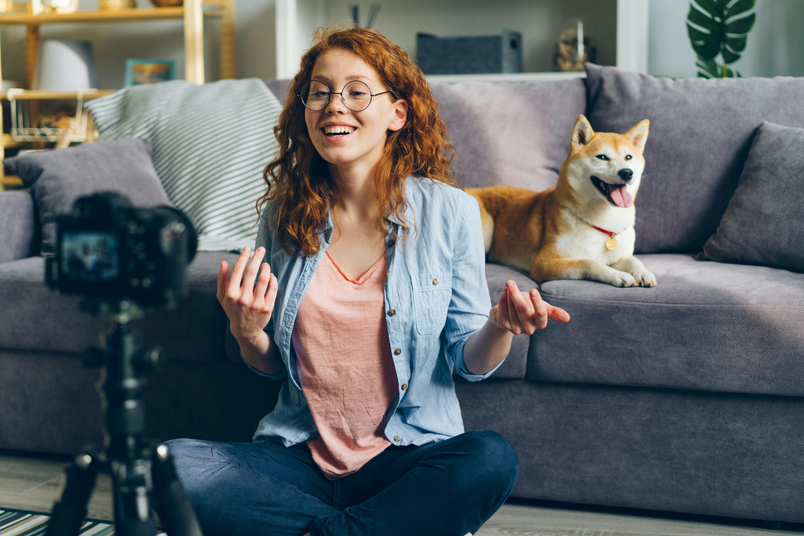 Top 10 dog influencers of 2025.