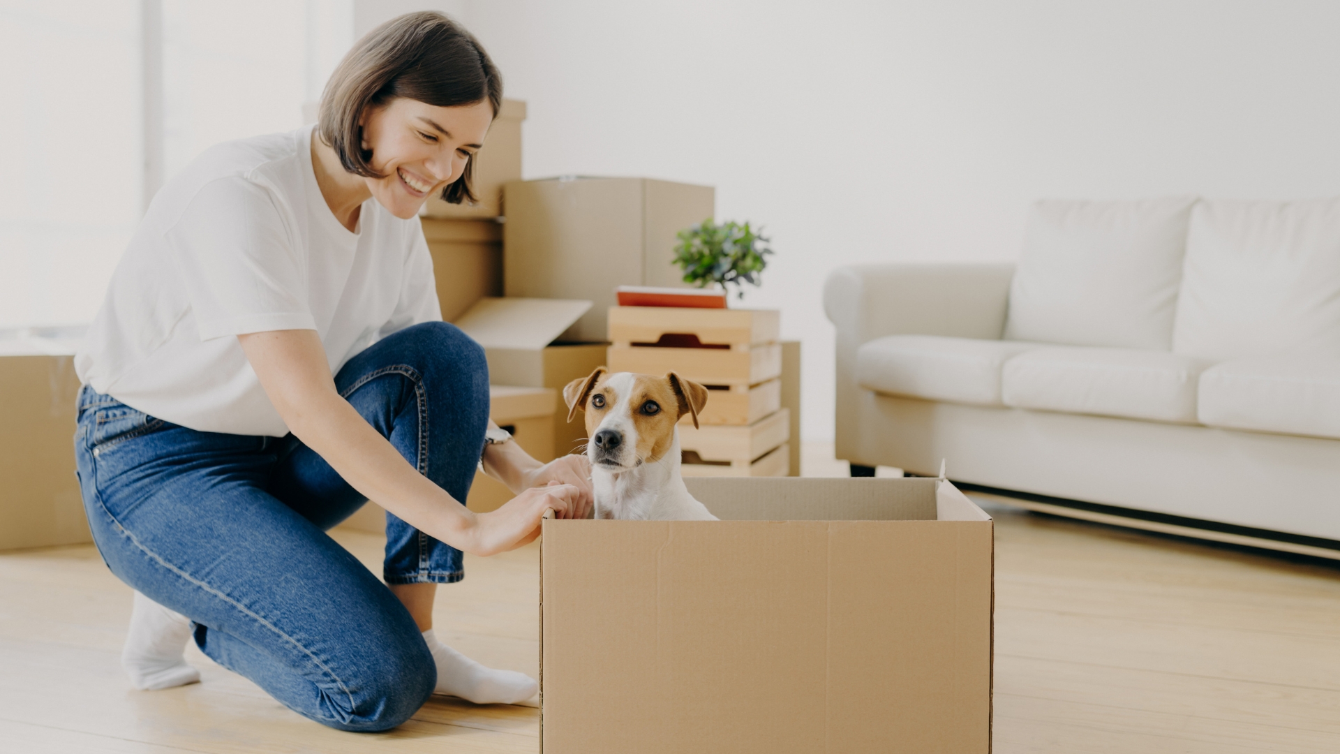 Best Apartment Dogs: Top Breeds for Small-Space Living