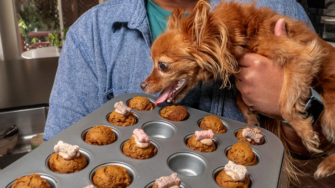 How to Make Homemade Pup Muffins: A Treat Your Dog Will Love