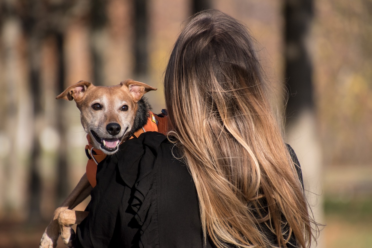 Eagles Win Super Bowl 2025: How to Get Free Chewy Pet Treats